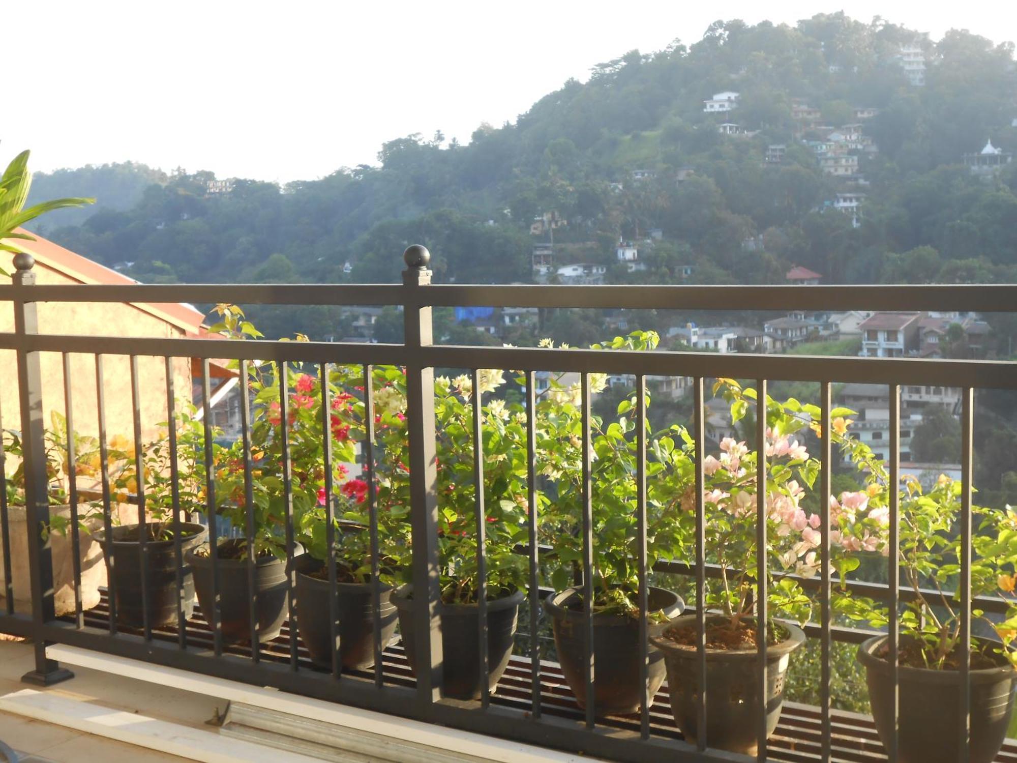 Luxury Apartment The Walkers Nest Kandy Buitenkant foto